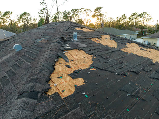 Professional Roofing service in Coal Run Village, KY